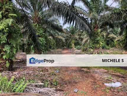 Ulu Tiram 60 Acre Land For Sale, Johor, Ulu Tiram