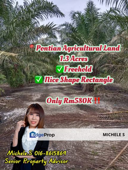 Pontian 1.3 Acres Agriculture Land For Sale, Johor, Pontian