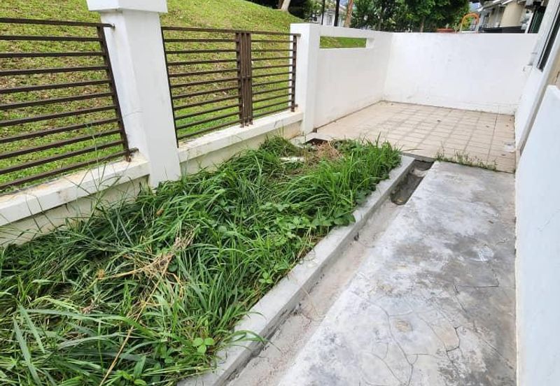 Horizon Hills 3 Storey Semi D For Rent