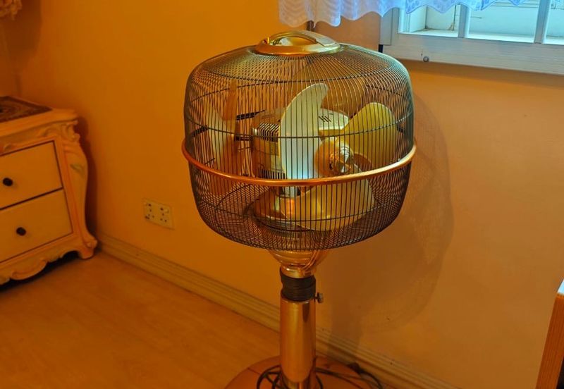 Stulang Laut / Darat