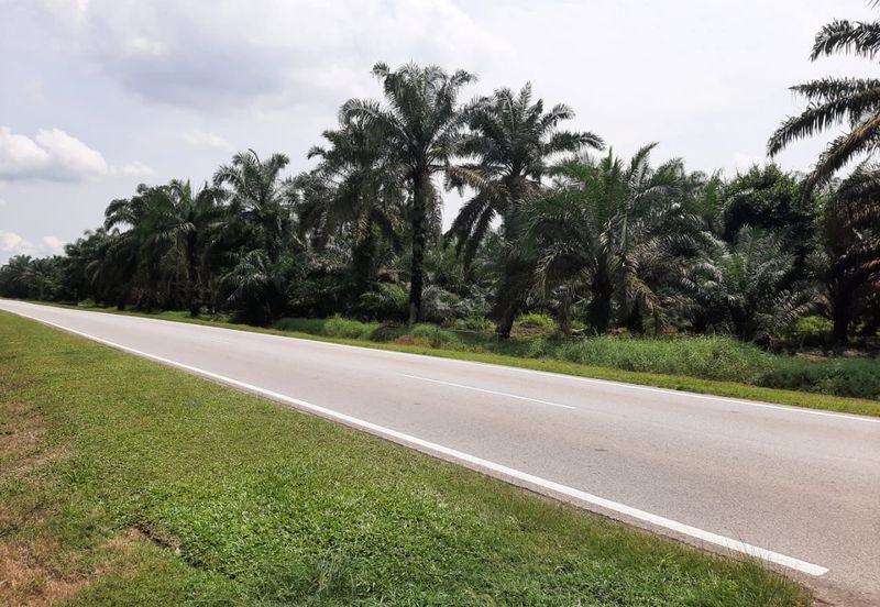 JERAM BATU PEKAN NENAS