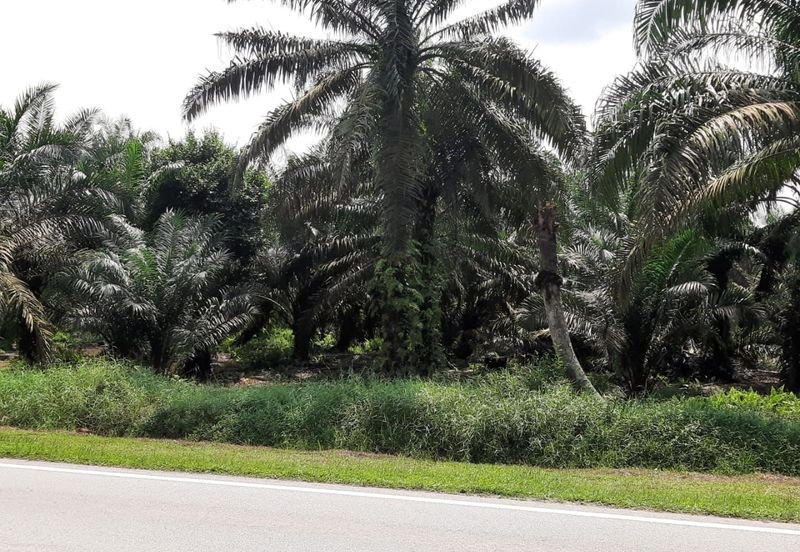 JERAM BATU PEKAN NENAS