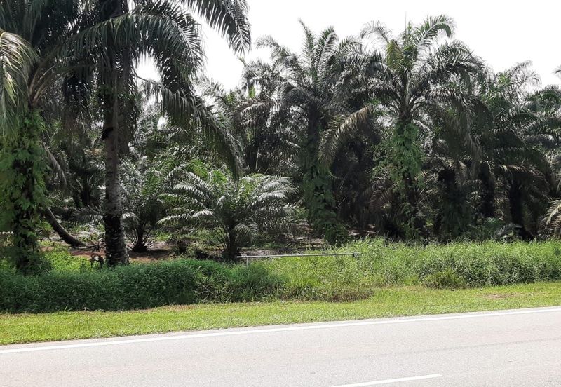 JERAM BATU PEKAN NENAS