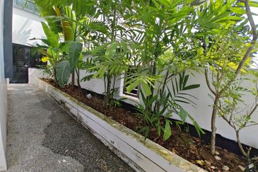 Maple Red, Adda Heights