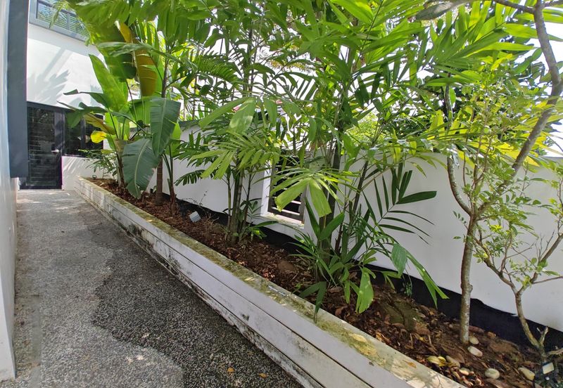 Maple Red, Adda Heights