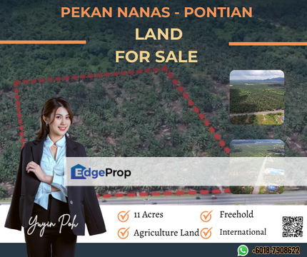 Pekan Nanas - Pontian Land , Johor, Pekan Nanas (Pekan Nenas)