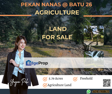 Pekan Nanas @ Batu 26 Agriculture Land, Johor, Pekan Nanas (Pekan Nenas)