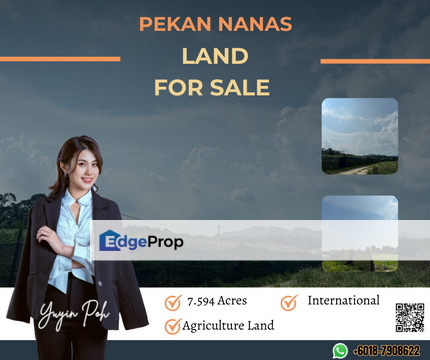 Pekan Nanas Land, Johor, Pekan Nanas (Pekan Nenas)