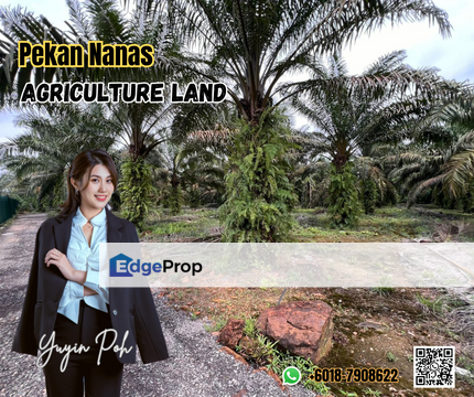 Pekan Nanas Agriculture Land , Johor, Pekan Nanas (Pekan Nenas)