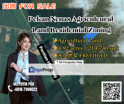 Pekan Nenas Agriculcural Land Residential Zoning, Johor, Pekan Nanas (Pekan Nenas)