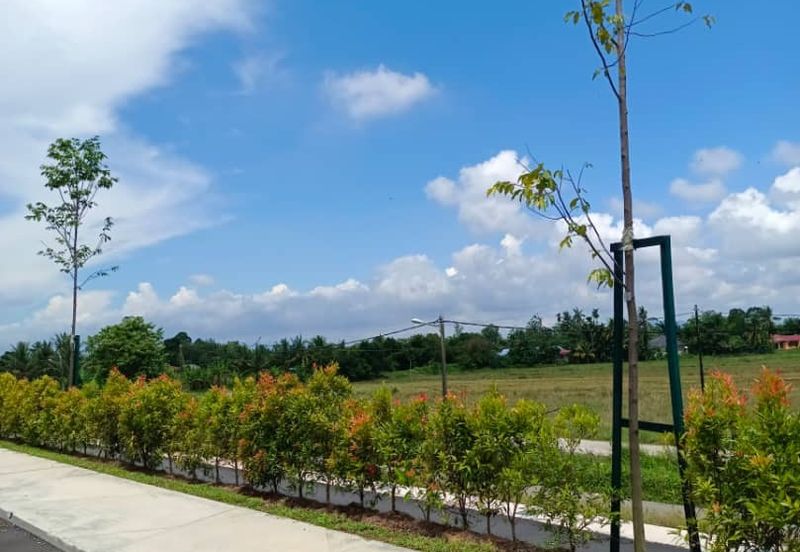 Brand New Terrace House, Ready With Window & Door Grill, Water Heater, Fans, Lights