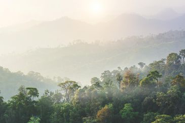 Damansara Seresta Condominium