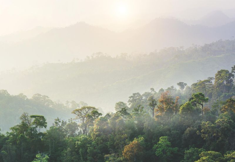 Damansara Seresta Condominium
