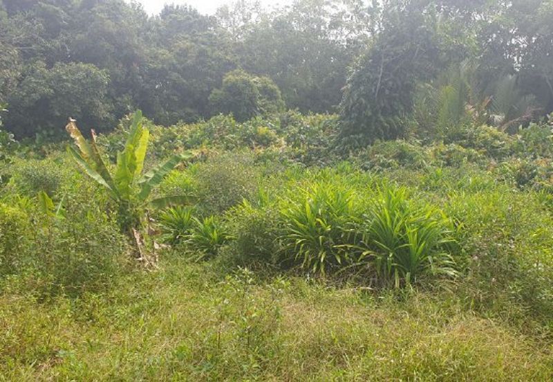 Port Of Tanjung Pelepas