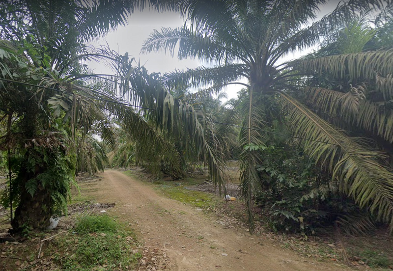 JERAM BATU PEKAN NENAS
