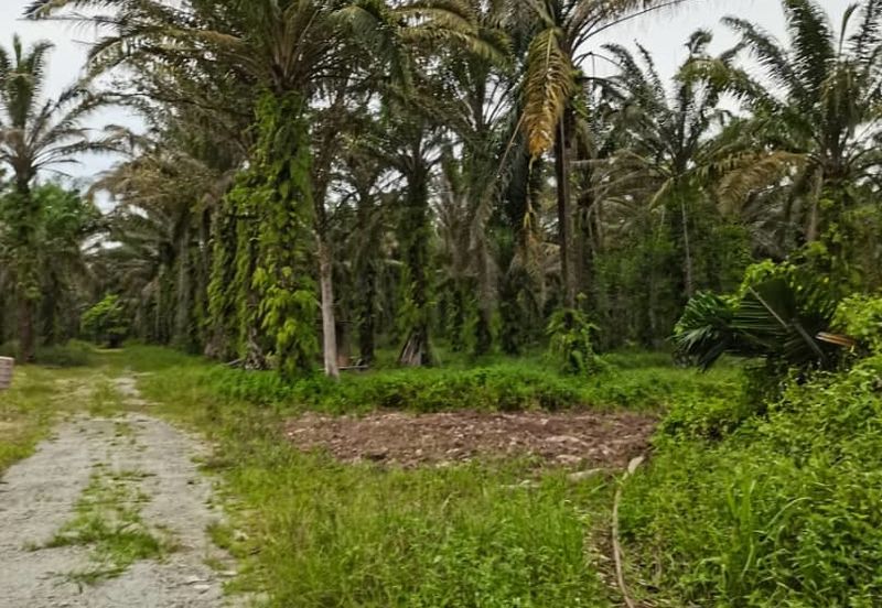 JERAM BATU PEKAN NENAS