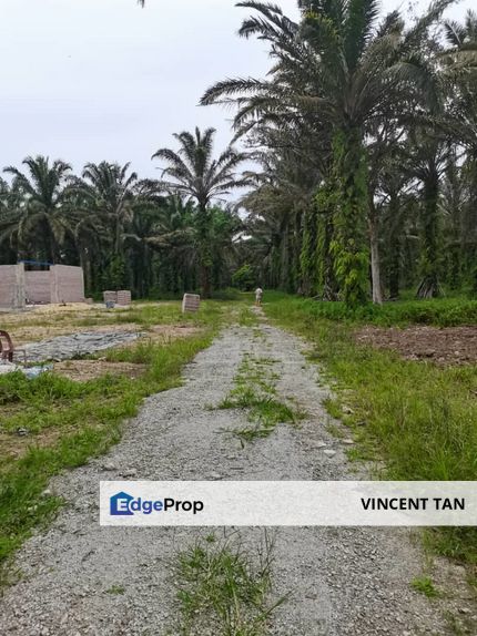Pekan Nanas Pontian Johor Land, Johor, Pontian