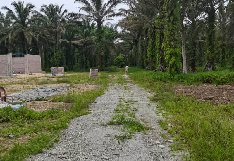 JERAM BATU PEKAN NENAS