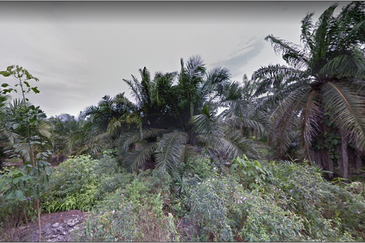 Port of Tanjung Pelepas