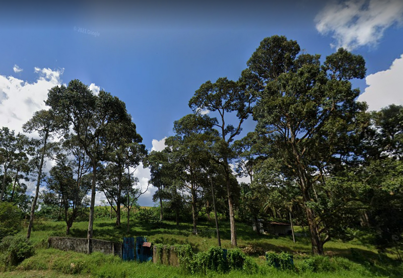 JERAM BATU PEKAN NENAS