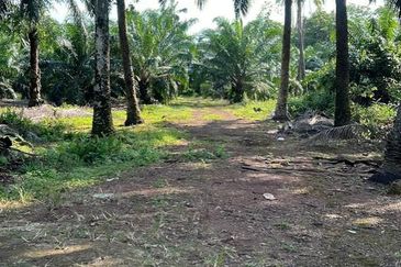 Port Of Tanjung Pelepas