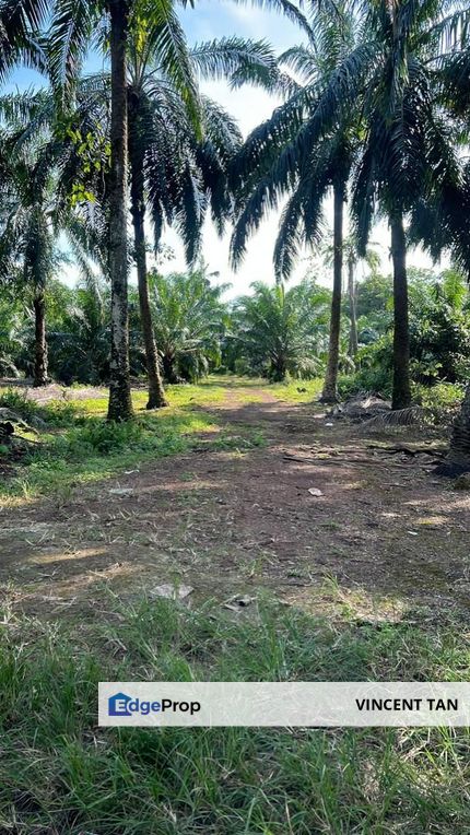 Port Of Tanjung Pelepas Gelang Patah Johor, Johor, Gelang Patah