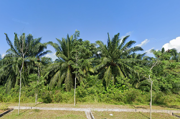 Port Of Tanjung Pelepas