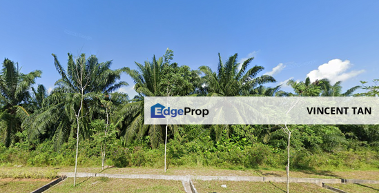 Port Of Tanjung Pelepas Land, Johor, Gelang Patah