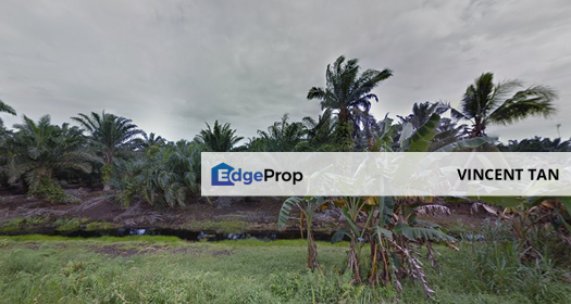 Kukup Land, Johor, Pontian