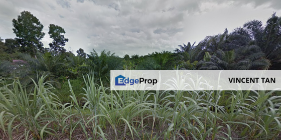 Pontian Land, Johor, Pontian