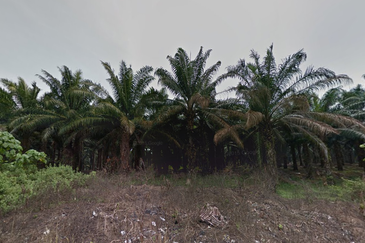 Negeri Sembilan Land