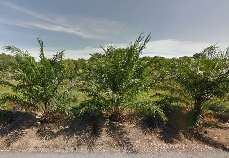 Negeri Sembilan Land