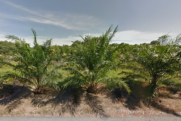 Negeri Sembilan Land