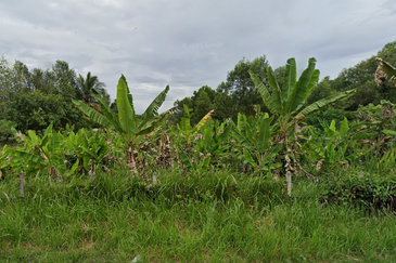 Negeri Sembilan Land