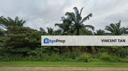 Kluang Land, Johor, Simpang Renggam