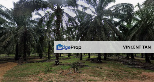 Kota Tinggi Land, Johor, Kota Tinggi