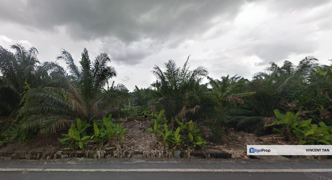 Kukup Land, Johor, Pontian