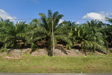 Rimba Terjun Pontian