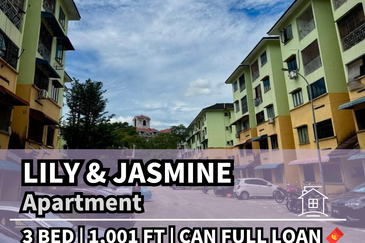 Lily & Jasmine Apartment