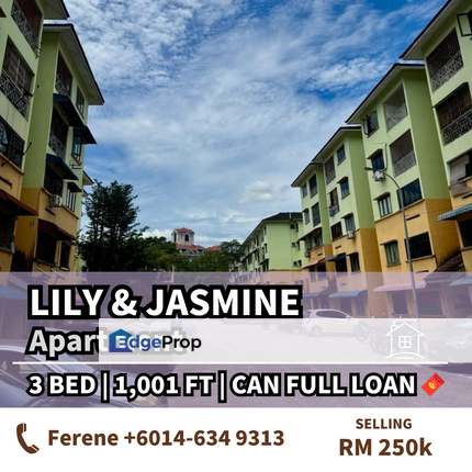 Can Full Loan , Lily & Jasmine Apartment , Tampoi Indah, Johor, Tampoi