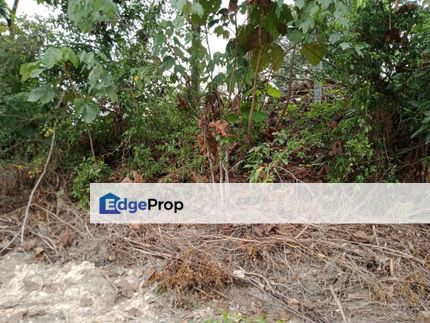 Linggi Non Bumi Freehold Agricultural Land, Negeri Sembilan, Port Dickson