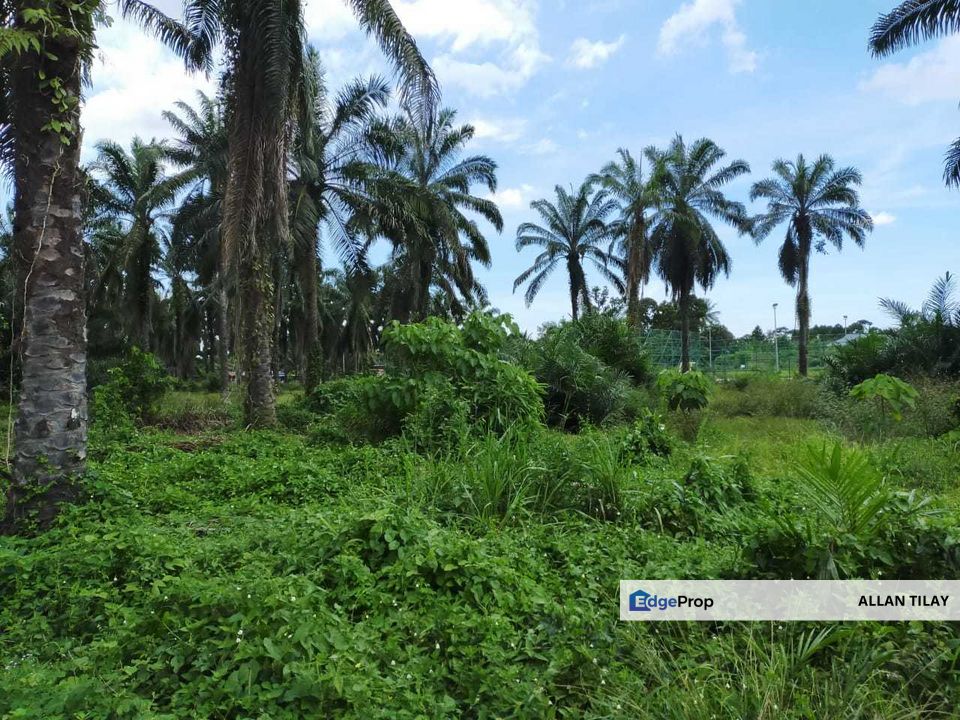 Penang Sungai Bakap Sungei Duri Oil Palm Land for Sale @RM19,065,000 By ...