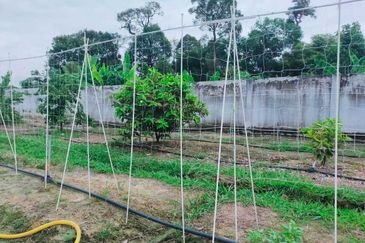 Jalan Pasir Puteh, Station 18