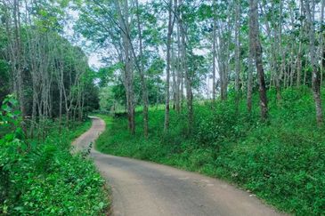 Kuala Pilah Non Bumi Freehold Agricultural Land