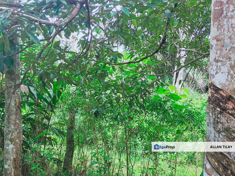 Kuala Pilah Non Bumi Freehold Agricultural Land, Negeri Sembilan, Kuala Pilah