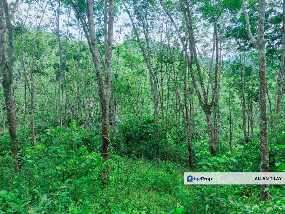 Kuala Pilah Non Bumi Freehold Agricultural Land, Negeri Sembilan, Kuala Pilah