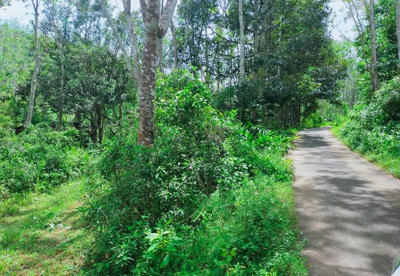 Kuala Pilah Non Bumi Freehold Agricultural Land
