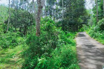 Kuala Pilah Non Bumi Freehold Agricultural Land