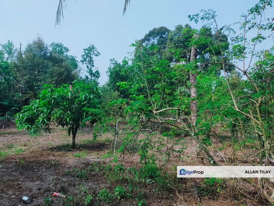 Mantin Orchard Land for Sale RM4,968,600 By ALLAN TILAY EdgeProp.my