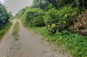 Agriculture Land @ Taiping